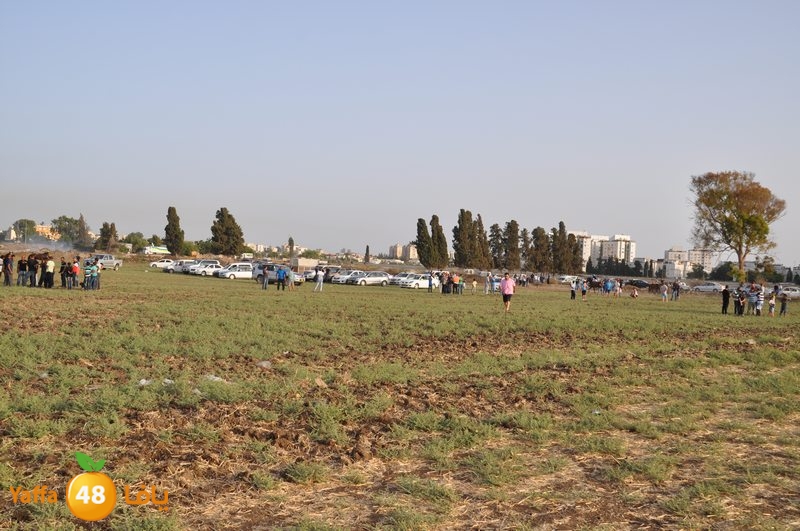 kheil sebaq (37).JPG